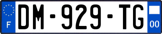 DM-929-TG