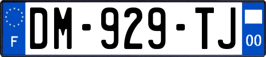 DM-929-TJ