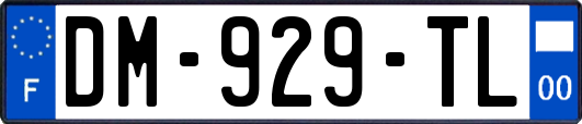 DM-929-TL