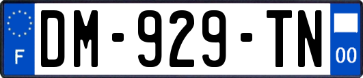 DM-929-TN