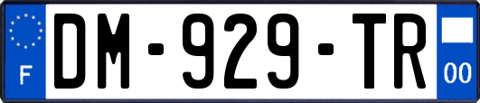 DM-929-TR