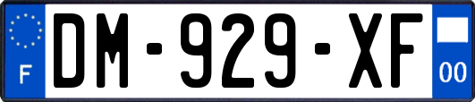 DM-929-XF
