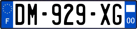 DM-929-XG