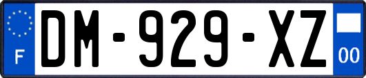 DM-929-XZ