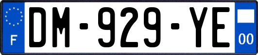 DM-929-YE