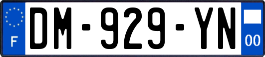 DM-929-YN