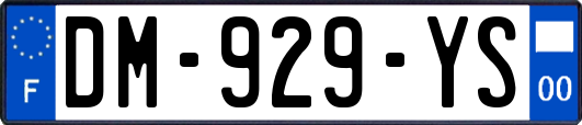 DM-929-YS