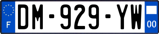 DM-929-YW