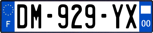 DM-929-YX