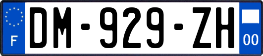 DM-929-ZH