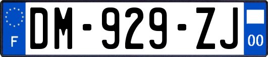 DM-929-ZJ