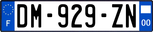 DM-929-ZN