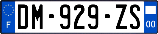 DM-929-ZS