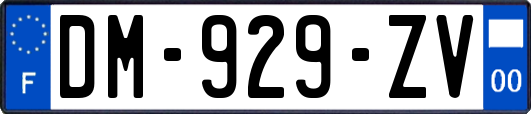 DM-929-ZV