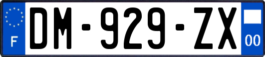 DM-929-ZX