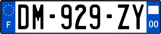 DM-929-ZY