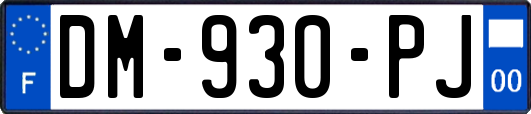 DM-930-PJ