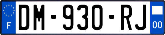DM-930-RJ