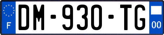 DM-930-TG