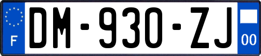 DM-930-ZJ