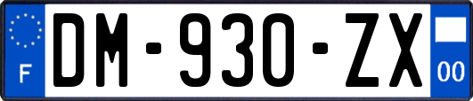 DM-930-ZX