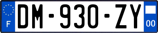 DM-930-ZY