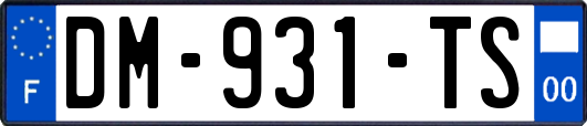 DM-931-TS