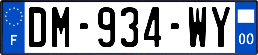 DM-934-WY