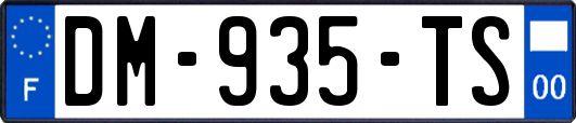 DM-935-TS