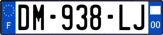 DM-938-LJ