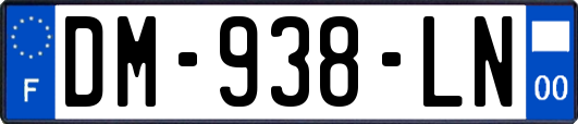 DM-938-LN