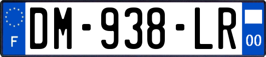 DM-938-LR