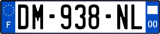 DM-938-NL
