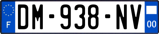 DM-938-NV