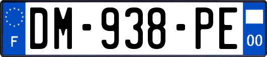 DM-938-PE