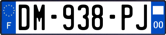 DM-938-PJ