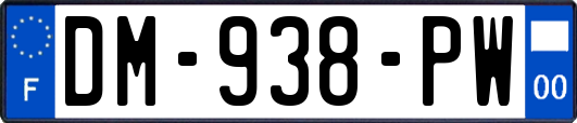 DM-938-PW