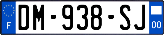 DM-938-SJ