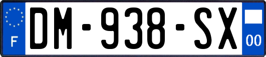 DM-938-SX