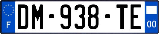 DM-938-TE
