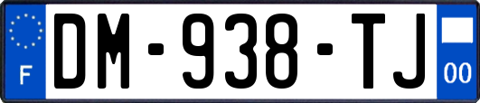 DM-938-TJ