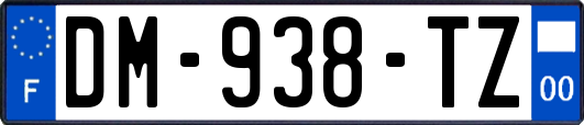DM-938-TZ