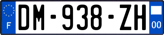 DM-938-ZH