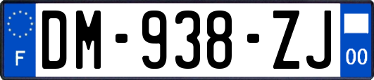 DM-938-ZJ