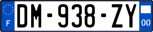 DM-938-ZY