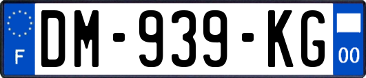 DM-939-KG