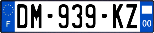 DM-939-KZ