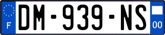 DM-939-NS