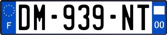DM-939-NT