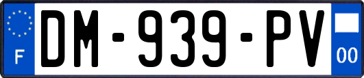 DM-939-PV